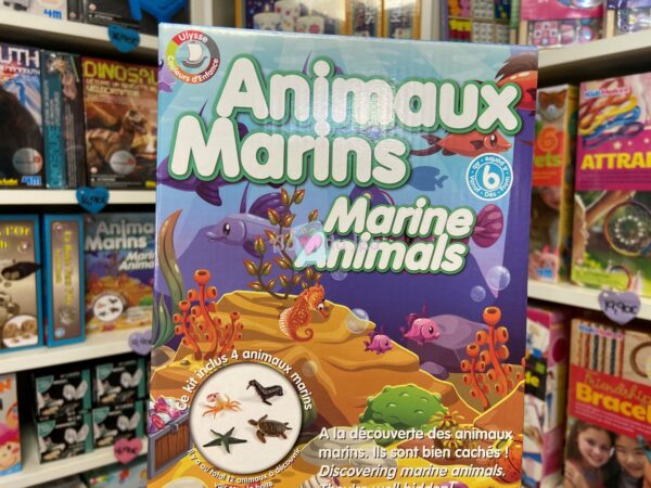 Kit Géologie : Les Animaux Marins