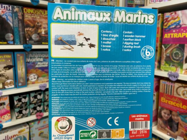 Kit Géologie : Les Animaux Marins – Image 2